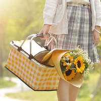 Picnic Basket Collapsible